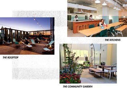 The Rooftop, The Kitchens, The Garden